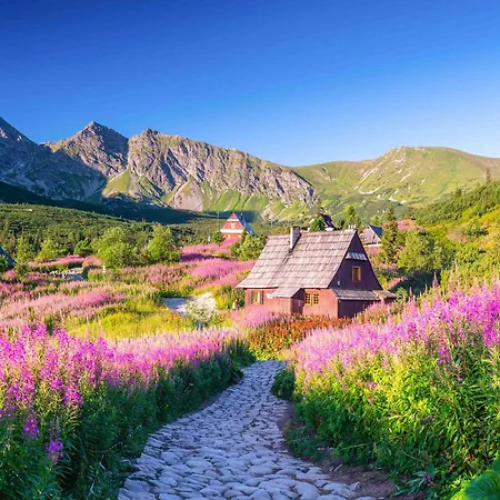 Prazdninove Byty U Kamarata * Habovka