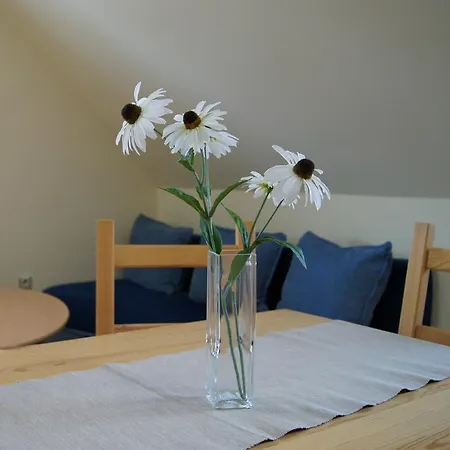 Apartamento Prázdninové U Kamaráta *